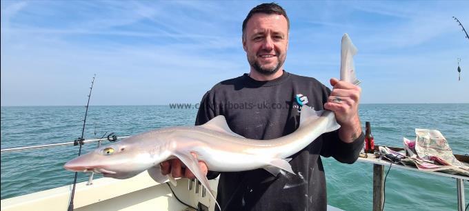 8 lb 8 oz Smooth-hound (Common) by Mark