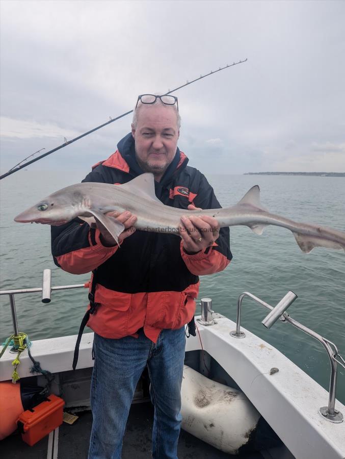 6 lb Smooth-hound by George