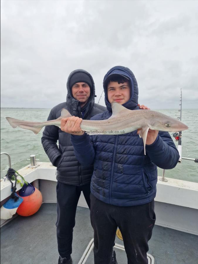 4 lb 5 oz Smooth-hound by Unknown