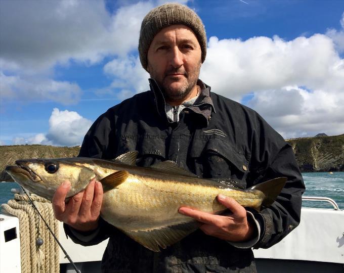 4 lb 11 oz Pollock by Unknown