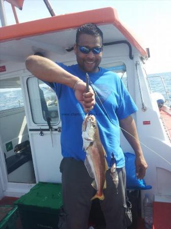 3 lb 5 oz Cod by Pete J