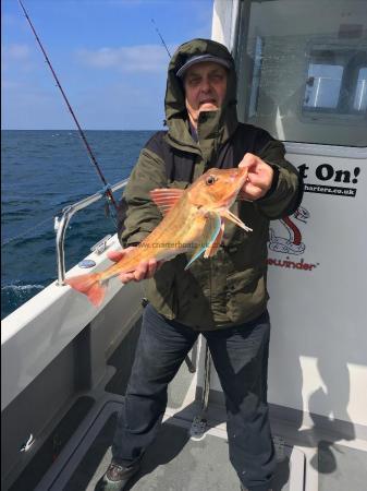 5 lb Tub Gurnard by Barry