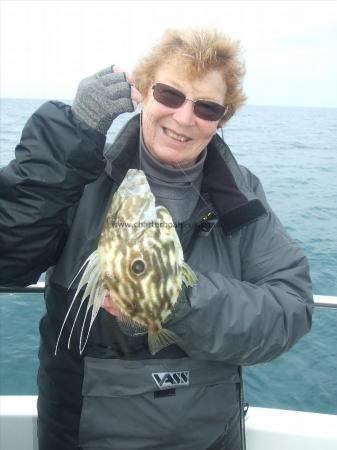 1 lb 4 oz John Dory by Denise Youngs