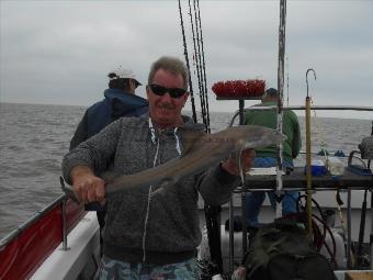 4 lb 5 oz Starry Smooth-hound by Dave Smith