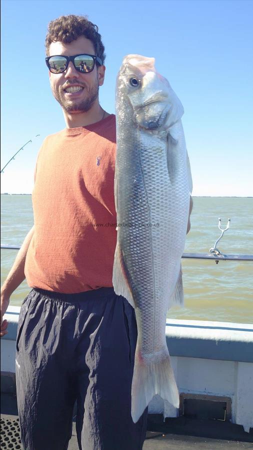 4 lb Bass by Karl from London