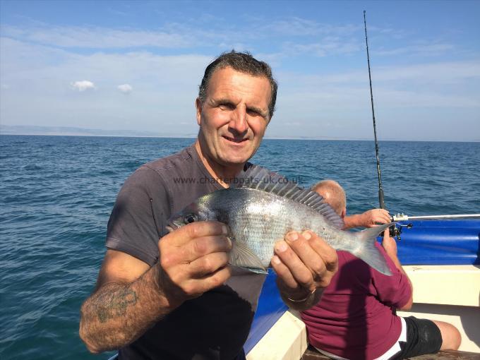 2 lb Black Sea Bream by Unknown