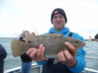 3 lb Ballan Wrasse by Chris Bowden