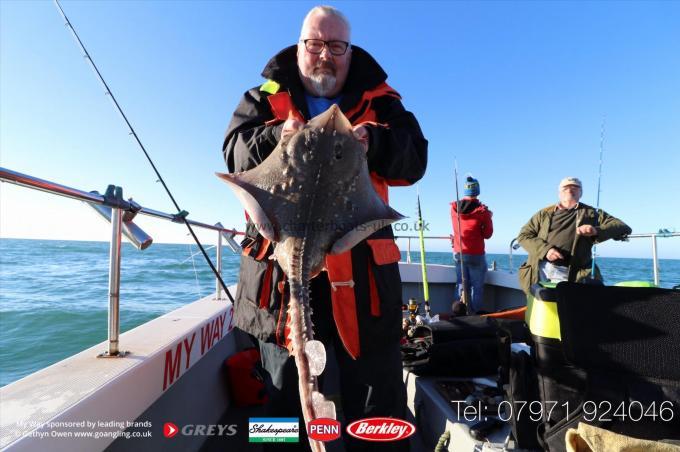 7 lb Thornback Ray by Graham