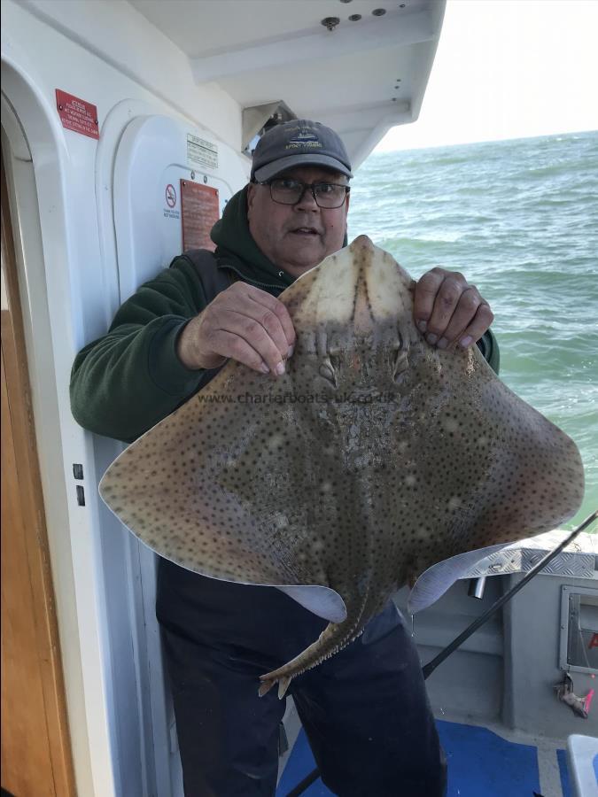 13 lb Blonde Ray by Robin
