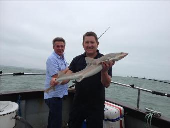 9 lb 12 oz Starry Smooth-hound by JL