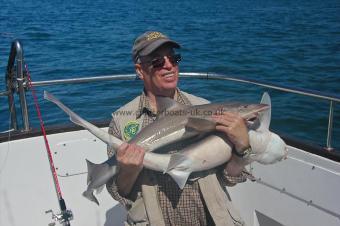 14 lb Starry Smooth-hound by Peter