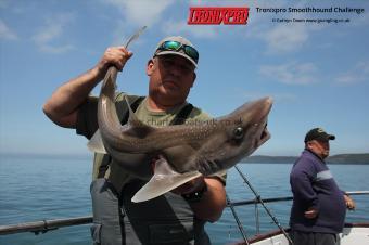 12 lb Starry Smooth-hound by Rob