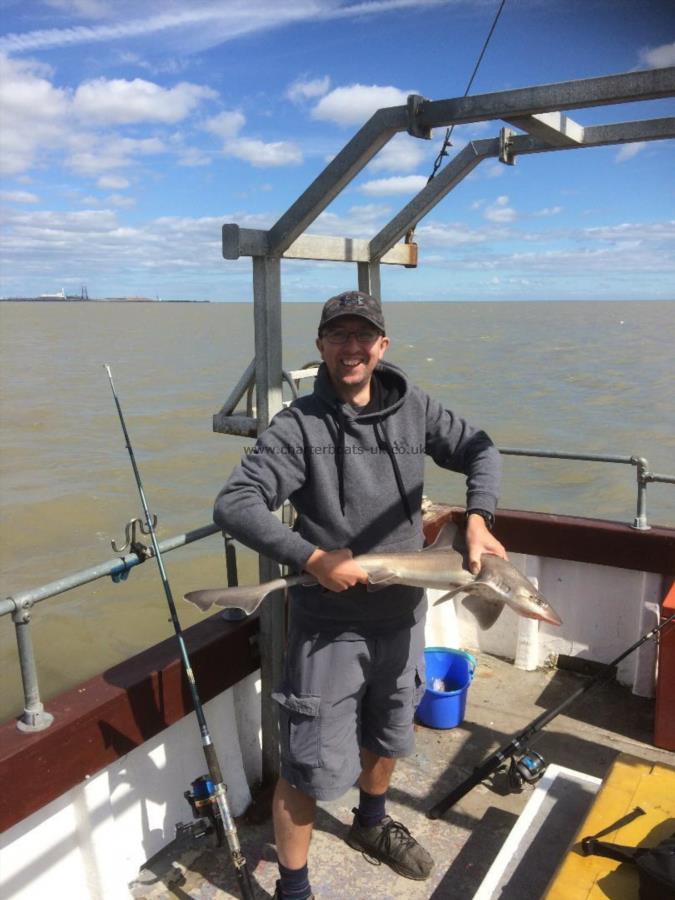 5 lb 6 oz Smooth-hound by Adrian