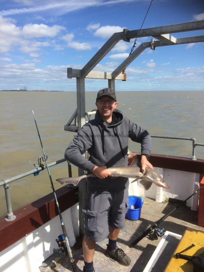 5 lb 6 oz Smooth-hound (Common) by Adrian