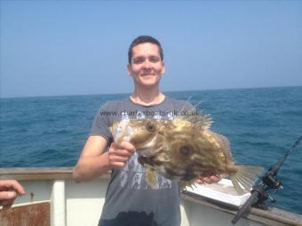 4 lb John Dory by Unknown