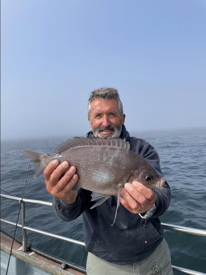 3 lb Black Sea Bream by Mike Toogood