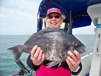 4 lb 8 oz Black Sea Bream by carol