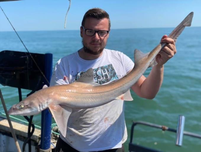 7 lb Smooth-hound by Unknown