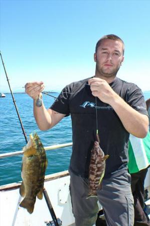 3 lb Ballan Wrasse by Dave McC