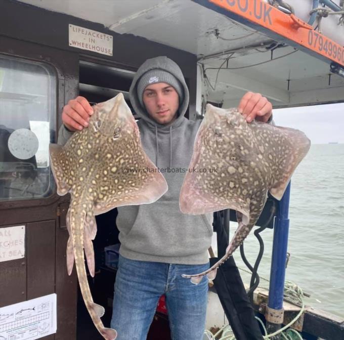 7 lb Thornback Ray by Unknown