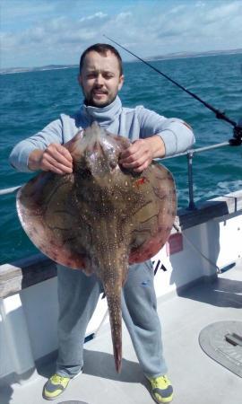 18 lb 6 oz Undulate Ray by Tom the polak