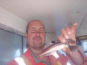 6 oz Grey Gurnard by Rich Ward ( Skipper )