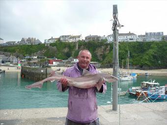 23 lb 11 oz Smooth-hound (Common) by Adrian Hill