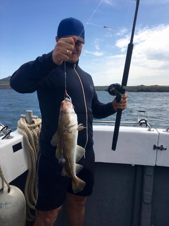 3 lb 4 oz Cod by Unknown