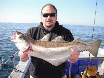 7 lb Pollock by Darren