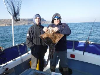 14 lb Undulate Ray by Unknown