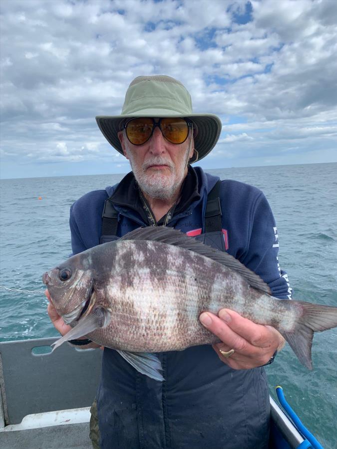 3 lb 8 oz Black Sea Bream by Alan