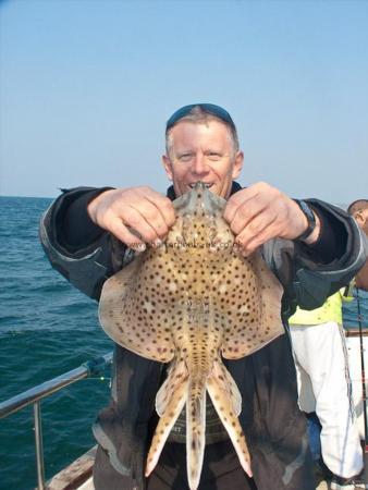 3 lb Spotted Ray by Kev