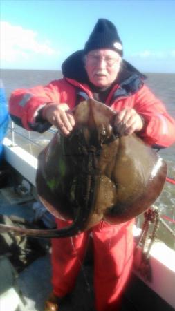 17 lb Blonde Ray by rich