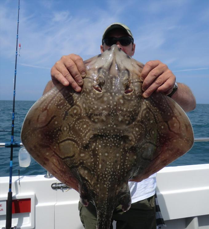 13 lb 3 oz Undulate Ray by Andy Soper