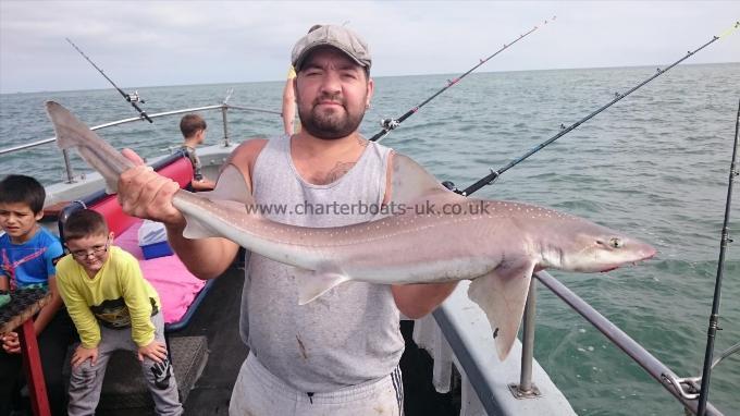7 lb 9 oz Starry Smooth-hound by Craig from Kent