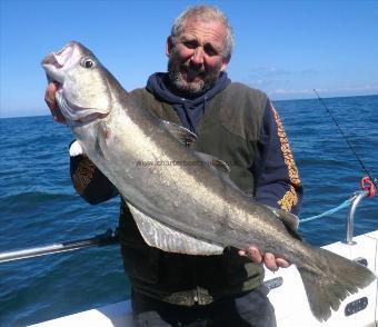 16 lb 1 oz Pollock by Stuart Cross