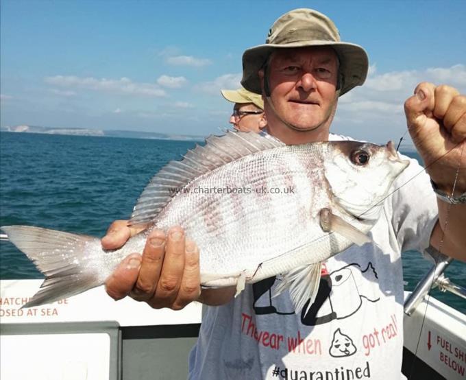 3 lb 2 oz Black Sea Bream by Cyril