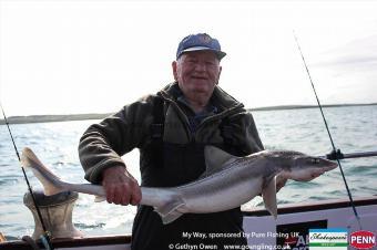 12 lb Starry Smooth-hound by Colin