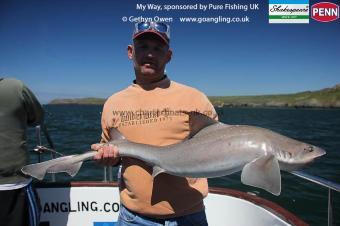 14 lb Starry Smooth-hound by Dave