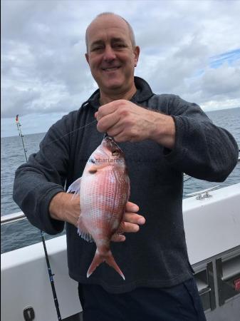 1 lb 8 oz Couch's Sea Bream by tony lees