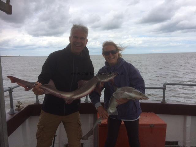 8 lb 6 oz Starry Smooth-hound by Unknown