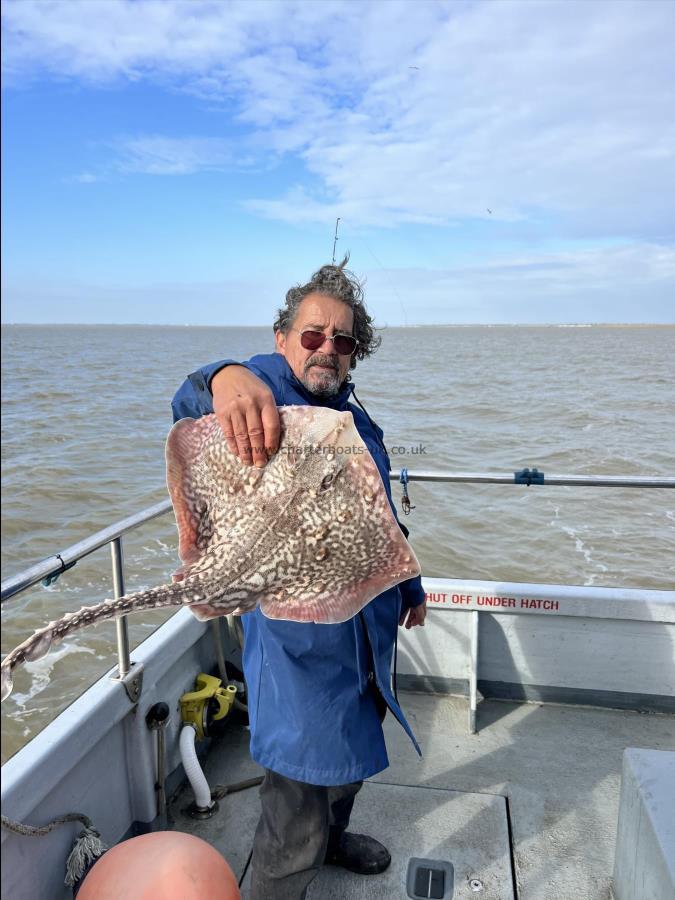 6 lb 8 oz Thornback Ray by Unknown