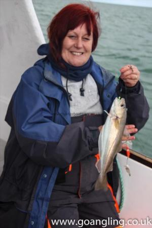 1 lb Whiting by Rosie