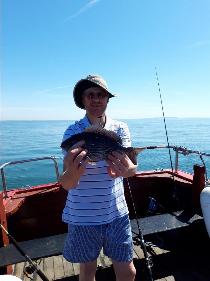 2 lb 8 oz Black Sea Bream by Malcolm Paine