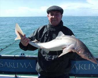 13 lb 8 oz Spurdog by John Wensley