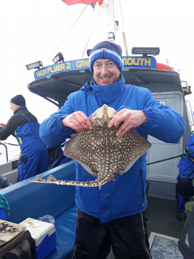 5 lb Thornback Ray by eric