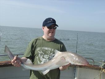 11 lb Smooth-hound (Common) by matthew