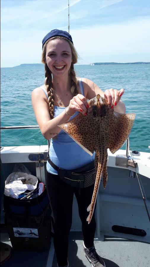 3 lb Spotted Ray by Unknown