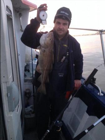 6 lb Cod by Ivan