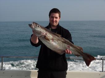 13 lb 11 oz Pollock by Erics mate